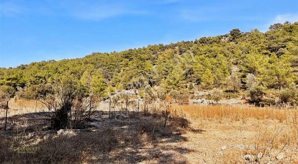 Satılık Arsa Fethiye Kayaköy'de 3.000 M² Fırsat