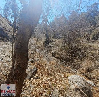 Remax Model Denizli'den Beyağaç'ta Turizm Amaçlı Sulak Tarla