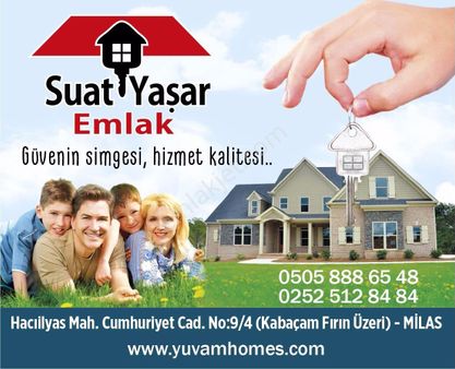 Milas Hasanlar Mah De Satılık Zeytinli Tarla