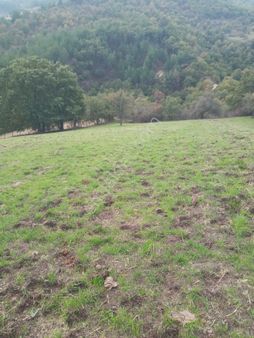 Golden Globy'den Havran-hallaçlar'da Satılık 11.312 M2 Tarla