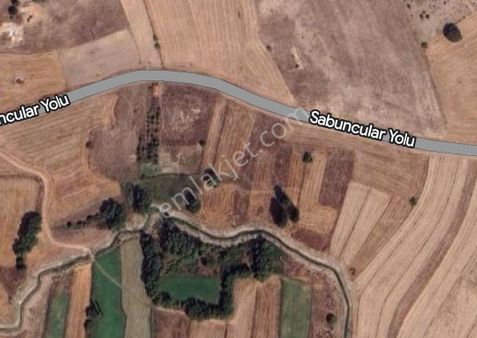 Kütahya Merkez-sabuncupınar Köyünde Satılık Tarla