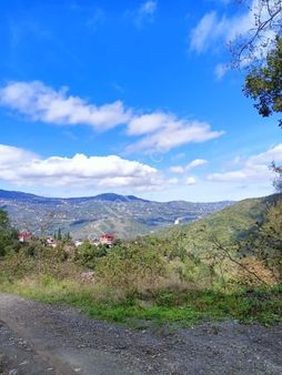 Wisrem'den Trabzon Ortahisar'da Yolu Açık Satılık Arsa