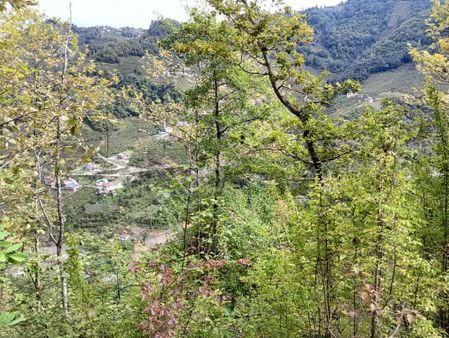 Wisrem'den Trabzon Ortahisar -çağlayan'da Satılık Arazi