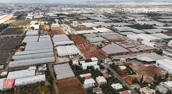 Acc Homes'tan 15.5 Dönüm Tek Tapu Müstakil Satılık Tarla Arazi