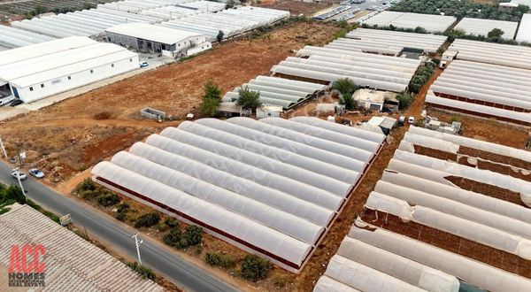 Acc Homes'tan 15.5 Dönüm Tek Tapu Müstakil Emsalsiz Tarla Arazi