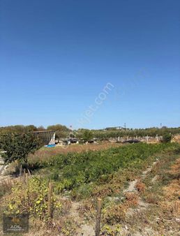 Adil Gayrimenkul'den Hatun Köy De Satılık Hayvan Çiftliği