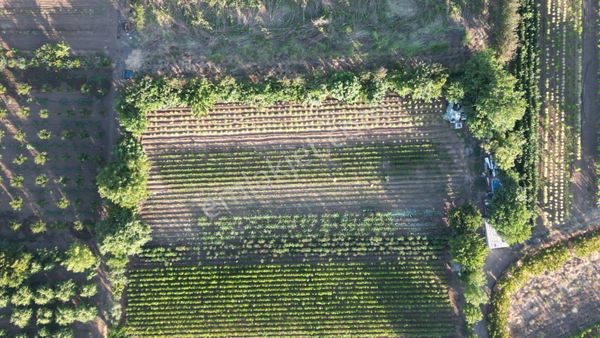 Gürsu Adaköy'de Hobi Bahçesi Yapına Uygun Yerleşime Yakın Yol Su Var
