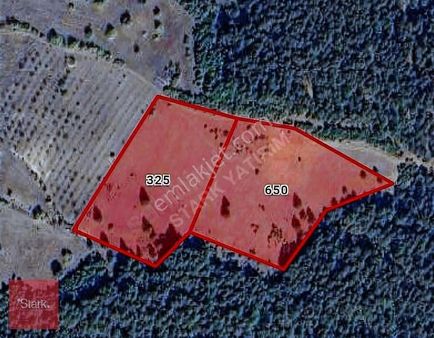 Bursa Harmancık Çakmak 21700 M2 Satılık Tarla