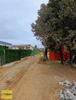 Torbalı Çapak Mah. Satılık Tarla