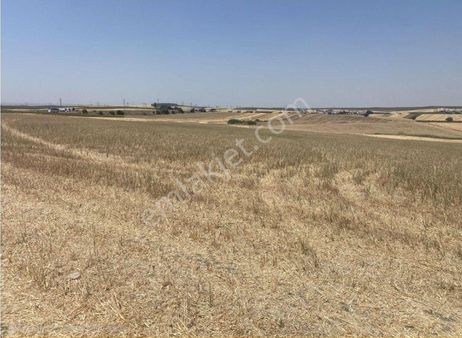 Kırklareli Lüleburgaz Dereköy 18 Dönüm