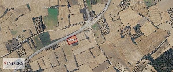 Eceabat Büyükanafarta Köyü Ana Yola Cepheli Satılık Zeytinlik