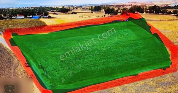 Merzifon Gökçebağ Mevkiide 11 Dönüm Fırsat Tarla Etrafı Çevrili