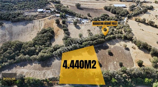 Balıkesir İvrindi Kurtuluş Mah. 4.440 M² Satılık Hobi Bahçesi