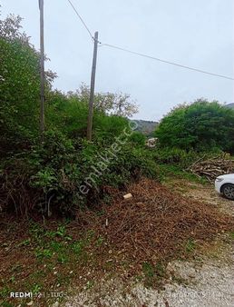 Düzce Golormani Köyünde Satılık Arsa