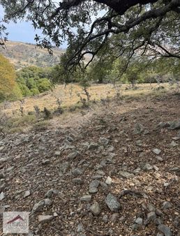 Notıas Real Estate Gayrimenkul'den 1.496 M2 Tarla