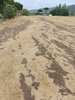 Bergama Fevzipaşa Mah.cezaevi Yanında Satılık Tarla