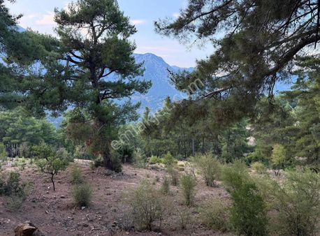 Hümeyra Avcı'dan Hisarçandır'da Elektirik-su-yol Takasa Açık