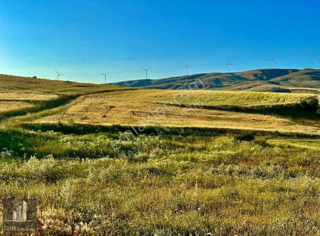 Gama Gayrimenkul'den Toplulaştırma Sonrası Kıymetli Tarlalar