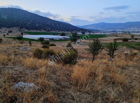 Yayla Bekçilerde 955 M2 Satılık Tarla.