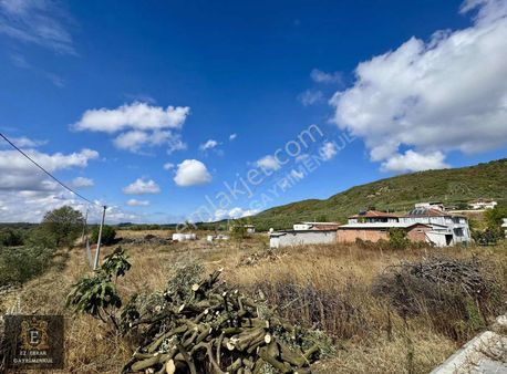 Mudanya Kaymakoba'da Köy İçi Arsa