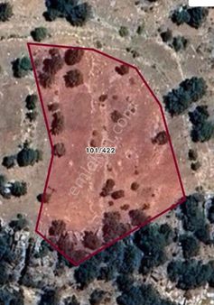 Elmalı Yapraklı'da 2.940 M2 Satılık Tarla