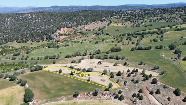 Konya Akören Alan Mahallesinde 2.783 M² Müstakil Tapulu Tarla