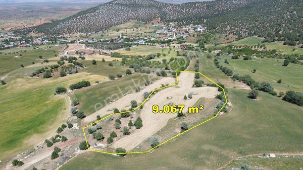 Konya / Akören / Alan Mahallesinde 9.067 M² Müstakil Tapulu Tarla