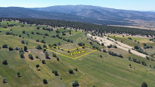 Konya / Akören / Alan Mahallesinde 2.954 M² Müstakil Tapulu Tarla