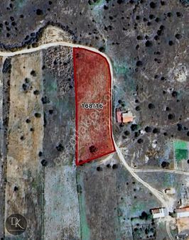 Deniz'den Muğla Milas'ta Satılık Arazi