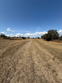 Çanakkale Biga Kaldırımbaşı Köyü İmara Sınır Yatırımlık Tarla