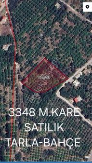 Mersin Erdemli Tabiye Mah.de Acil Satılık 3348 M.kare Tarla-limon Bahçesi