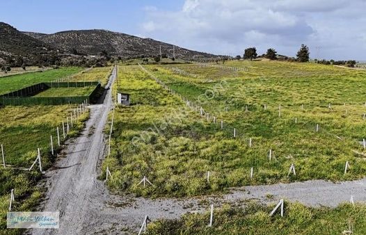 Menderes Şaşal Köyünde Uygun Fiyatlı 663 M2 Tapulu Bahçe