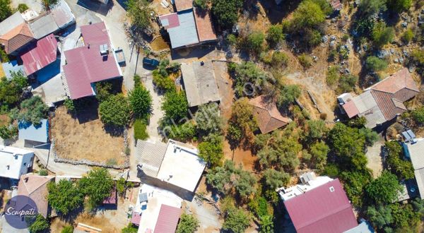 Doğanın Kalbinde Köy Yaşamı Satılık Çiftlik Evleri Ve Arsası