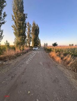 Ciddi Bir Yatırım Fırsatı ! Erenler' De Satılık 11.946 M2 Arazi!