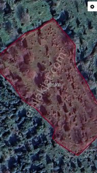 Aliağa Karakuzu Köyünde Satılık Tarla