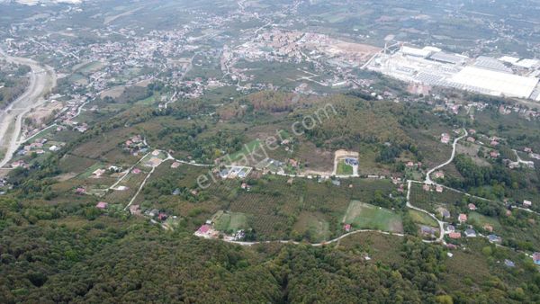 Remax Palas'tan Düzce Merkez Güven Köyü Satılık Arsa