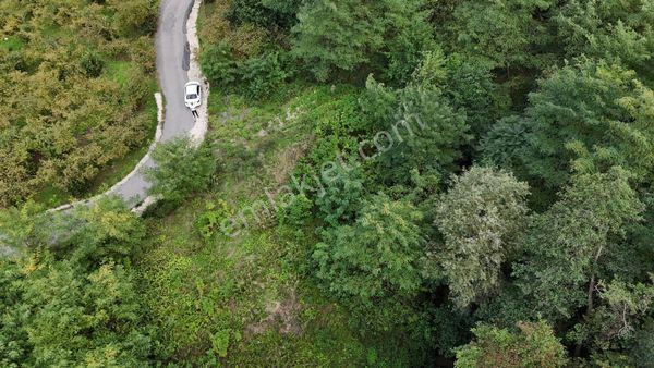 Ortahisar İncesu'da Fırsat 1429 M2 Arsa