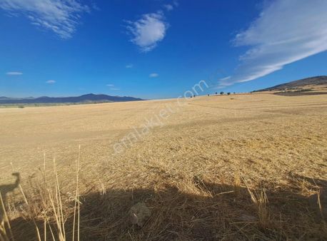 Konya Seydişehir Taraşcı Da Satılık 1982m Tarlamız Satılık Tır