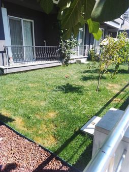 Labseki Dalyan Bahçe Kullanımlı 2+1 Daire