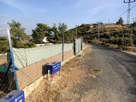 Acil Satılık Manavgat Demirciler'de 900 M2 Satılık Bahçe