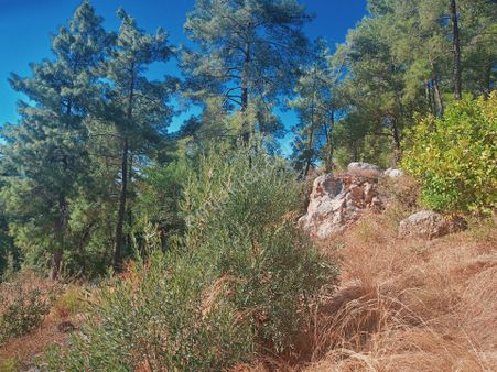 Satılık Müstakil Tarla Dalaman Gürkoyde Yatırımlık