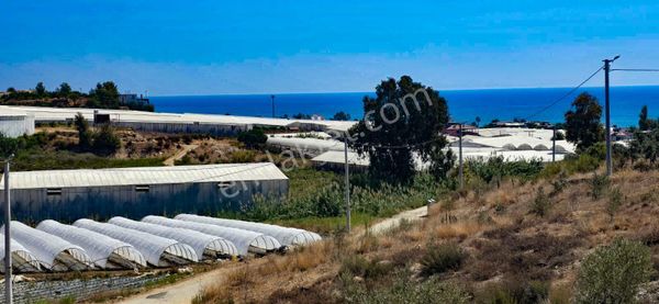 Anamur Bozdoğan Müstakil Tapulu Satılık Arsa
