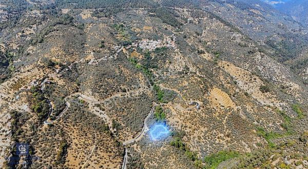 İzmir Bayındır Hisarlık 2044m2 Satılık Zeytinlik