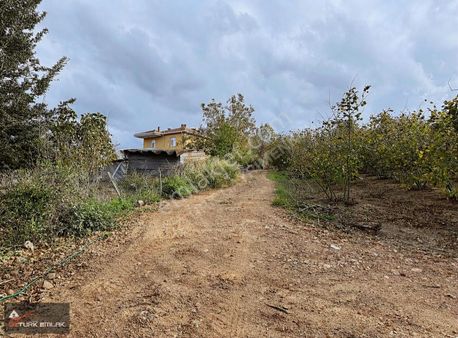 Karasu Taşlıgeçitte Satılık Fındık Bahcesi