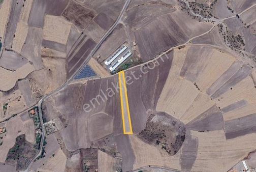 Güdül Hocalı Tepe Mevkii Tek Tapu 3588 M2 Tarla