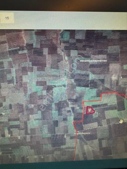 Çözüm Gayrimenkul 11750 Zeytin