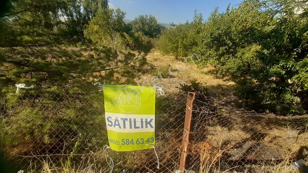 Güdül Merkezde Tek Tapu Yatırıma Uygun 1512 M2 Bahçe