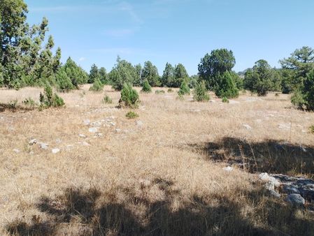 New Form'dan Toroslar Sadiye Mahallesi'nde Satılık Tarla