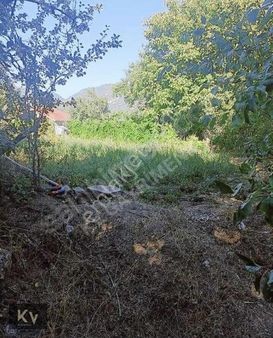 Kv Gayrimenkul'den Mudurnu Çağsak Köyünde Satılık İmarlı Arsa