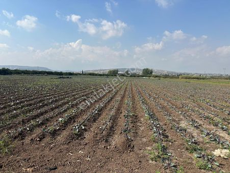 New Form'dan Akdeniz Bağlarbaşı Mahallesi'nde Satılık Tarla